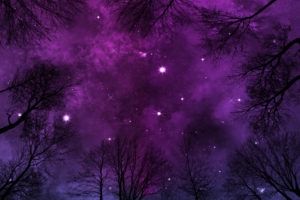 Purple Starry Night Sky Background With Heavy Nebula, Low Angle View